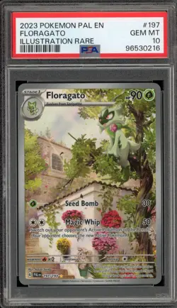 Pokemon Floragato Paldea Evolved Illustration Rare #197 PSA 10 Gem Mint - Image 1