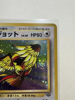 Pidgeot Holo No.018 Japanese Base Set 1996 Vintage Pokemon Card NM-LP- Swirl - Image 5