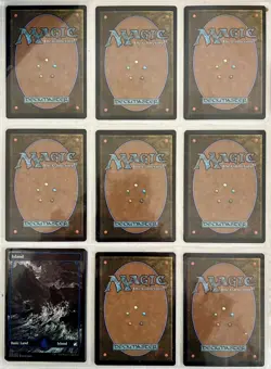 MTG Innistrad Midnight Hunt Full Art Land Set of 10 Cards Missing 1 Forest - Image 2