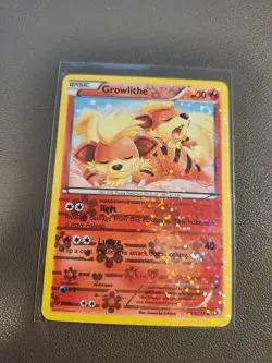 Growlithe Holo RC4 Pokemon Radiant Collection Legendary Treasure LP - Image 1
