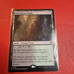 Overgrown Tomb Land Swamp Forest R266 Regular Near Mint Loren Eclipsed MTG - Image 1