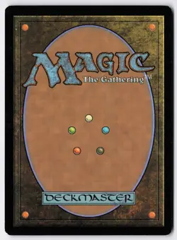 Liliana of the Veil - Foil - MTG Pro Tour Promos - RareCo - Image 2