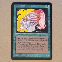 MTG - Magic the Gathering - Alpha Llanowar Elves - LP - Image 1