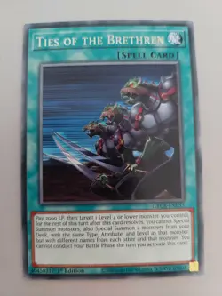 YUGIOH TCG The Grand Creators - Ties of the Brethren GRCR-EN053 - Image 1