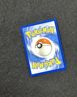 2023 Pokemon SV Black Star Promos N's Zorua #189 Destined Rivals ETB Promo - Image 5