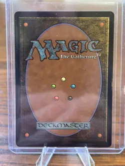 MTG The Cabbage Merchant - Extended Art, NM-Mint, English Avatar: The Last Air B - Image 2