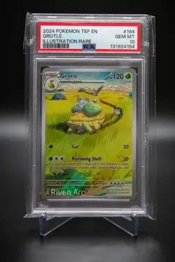 Grotle PSA 10 GEM MINT 2024 Pokemon TEF #164 Illustration Rare Scarlet & Violet - Image 1