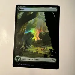 Forest - L 0276 - Foil - OTJ - NM - MTG - Magic the Gathering SHIPS FREE ASAP - Image 1