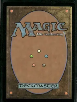 2025 Magic the Gathering Traveling Chocobo Borderless Foil M 0406 Final Fantasy - Image 2