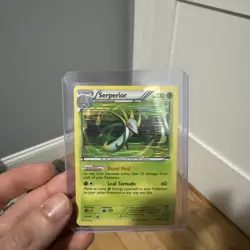 Serperior BW20 Black and White Black Star Promo Pokemon (543) - Image 1