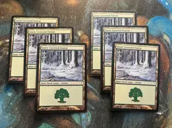 Snow-Covered Forests x6, Coldsnap, MTG Cards - Image 1
