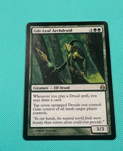 Gilt-Leaf Archdruid - Morningtide - MTG - Magic the Gathering - Image 1