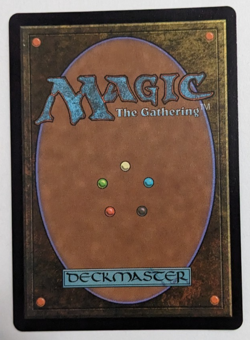 Chocobo Track Swamp! (0480) Final Fantasy FIC, Magic MtG, Full Art Foil - NM! - Image 3