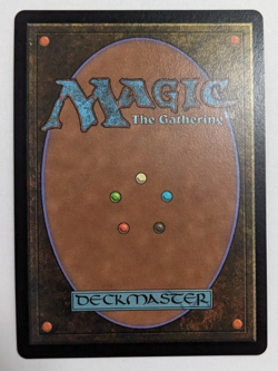 Chocobo Track Island! (0479) Final Fantasy FIC, Magic MtG, Full Art Foil - NM! - Image 3