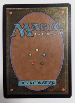 Chocobo Track Plains! (0478) Final Fantasy FIC, Magic MtG, Full Art Foil - NM! - Image 3