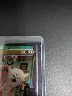 Aura Shards (Rainbow Foil) Secret Lair Drop Foil mtg - Image 3