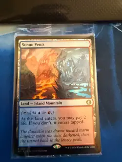 Steam Vents NM Foil - 267 - Lorwyn Eclipsed MTG - Image 1