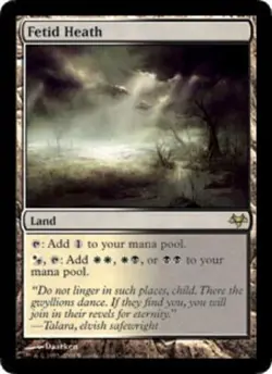 Slightly Played, English - 1 x MTG Fetid Heath Eventide - Image 1