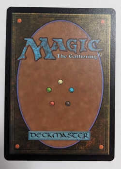 Choco, Seeker of Paradise (569) Chocobo Track Foil! Final Fantasy Magic MtG, NM! - Image 3