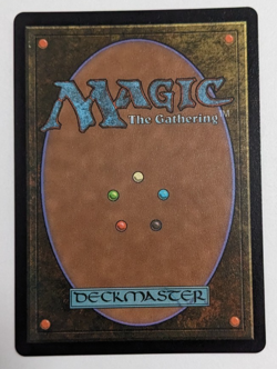 Chocobo Track Forest! (0482) Final Fantasy FIC, Magic MtG, Full Art Foil - NM! - Image 3