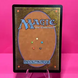 Magic: The Gathering Land Windswept Heath Windswept Heath Rare Regular - Image 2