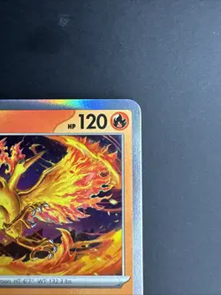 Moltres Phantasmal Flames Holo Rare 014/094 Near Mint Pokemon TCG NM - Image 3
