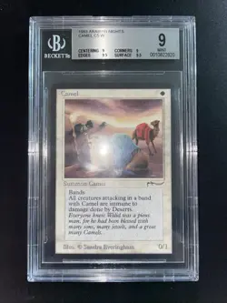 MTG Camel BGS 9Q++ Arabian Nights 1993 Graded NM - Image 2