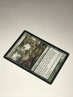 EVERBARK SHAMAN Magic the Gathering Card - Image 3