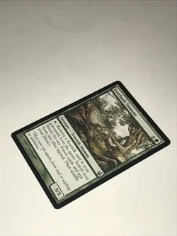 EVERBARK SHAMAN Magic the Gathering Card - Image 4
