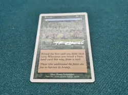 SIGNED MtG Rowen LP 7TH FRANZ VOHWINKEL EDH CUBE MTG MAGIC - Image 2