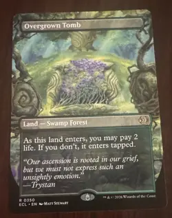 Overgrown Tomb (Borderless) Lorwyn Eclipsed Regular - Image 1