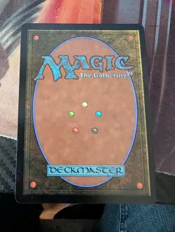 Ocelot Pride Textless Store Champ Promo - Image 2