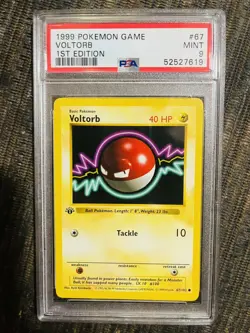 Voltorb 1st Edition Shadowless Base Set Pokemon Card #67 PSA 9 MINT - Image 2