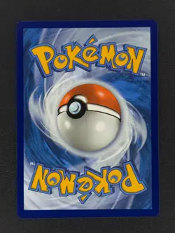 Horsea 67 Pokemon SFA Shrouded Fable 2024 NM 🔥🔥🔥 - Image 2