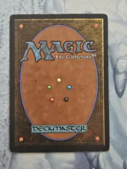 Zur's Weirding - Ice Age - Magic the Gathering - Signed - Liz Danforth - Image 2