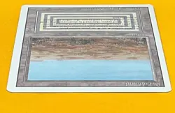 MTG SCRUBLAND Revised (OldManMTG 013-228) - Image 3