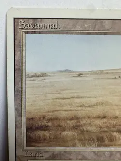 Savannah Revised Edition Regular - Image 2