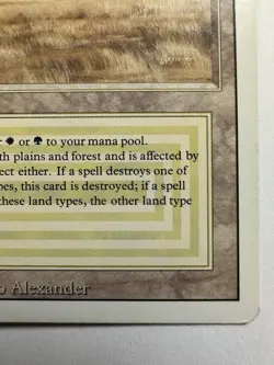 Savannah Revised Edition Regular - Image 4