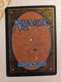 MTG - FBB - Sunastian Falconer - Italian Legends - Uncommon - MP Condition - Image 2