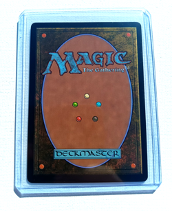 Abundant Countryside (Extended Art) Commander: Lorwyn Eclipsed Regular NM - Image 4