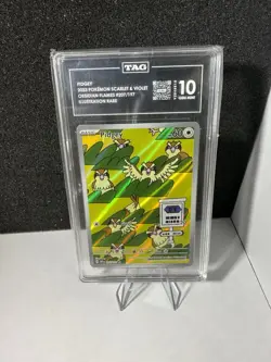 TAG 10 Pidgey 207/197 Illustration Rare Obsidian Flames Pokemon TCG Gem Mint 10 - Image 1