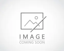 Steam Vents (Borderless) Lorwyn Eclipsed Foil - Image 1