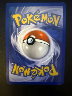Pokemon Dark Gyarados TCG Prerelease Card 08/82 WOTC Promo Holo - Image 4
