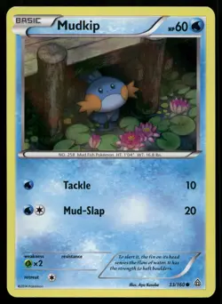 Mudkip 33/160 Primal Clash Collector Chest PRC Holo Promo Pokemon NM - Image 1
