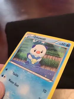 Pokemon TCG Oshawott - 27/114 Black & White - Pokemon TCG - 2011 Holo - Image 5