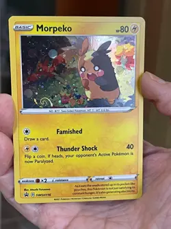 POKEMON MORPEKO SWSH116 PROMO BLACK STAR COSMOS HOLO WITH HD SWIRL NM CARD PICS - Image 5