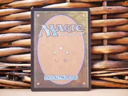 MTG Tataru Taru 0466 TRACK FOIL BORDERLESS | NM Near Mint | FIC | 2025 - Image 2
