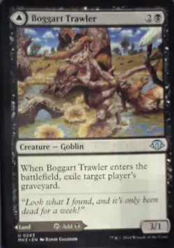 Boggart Trawler - Modern Horizons 3: #243, Magic: The Gathering Nm C289 - Image 1