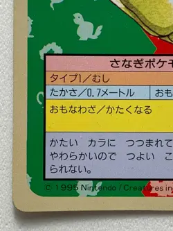 Metapod NO.011 Topsun Pokemon card Japanese Green Back 1995 RARE - Image 5