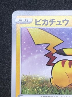 Pikachu 024/S-P NM GYM PROMO Pokemon TCG Sword & Shield Japanese - Image 3